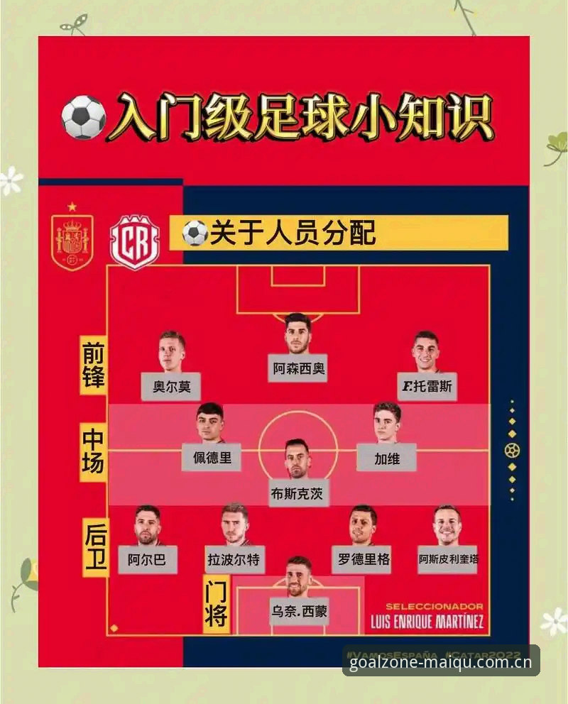 世界杯官方购彩使用指南详解，从入门到精通的安全投注之路